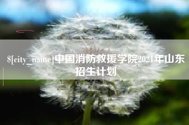 日土中国消防救援学院2021年山东招生计划