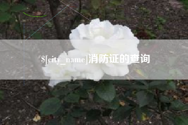 日土消防证的查询