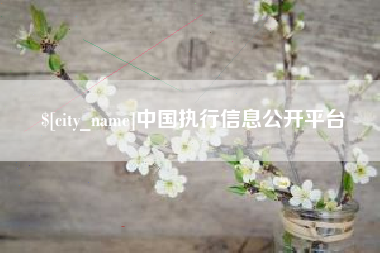 日土中国执行信息公开平台