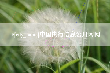 日土中国执行信息公开网网