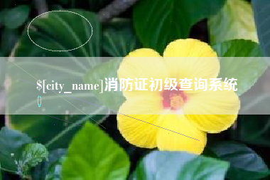 日土消防证初级查询系统