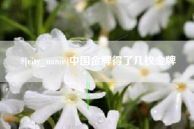日土中国金牌得了几枚金牌