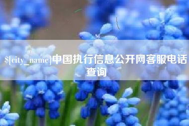日土中国执行信息公开网客服电话查询