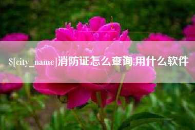 日土消防证怎么查询,用什么软件