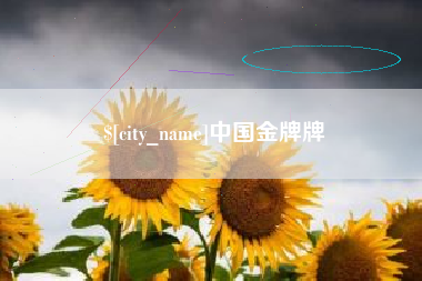 日土中国金牌牌
