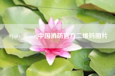 日土中国消防官方二维码图片