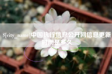 日土中国执行信息公开网信息更新时间是多久