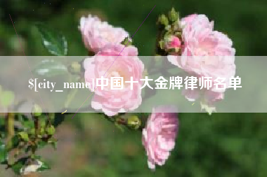 日土中国十大金牌律师名单