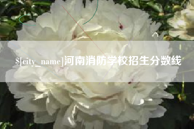 日土河南消防学校招生分数线