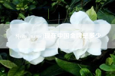 日土现在中国金牌是多少