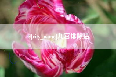 日土九宫排除法