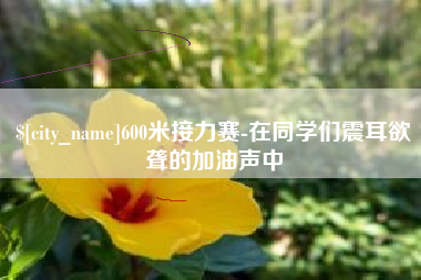 日土600米接力赛-在同学们震耳欲聋的加油声中