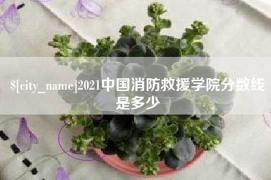 日土2021中国消防救援学院分数线是多少