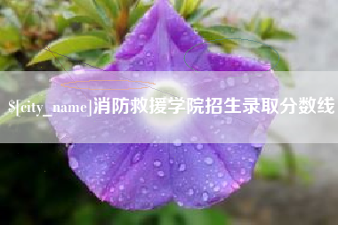 日土消防救援学院招生录取分数线
