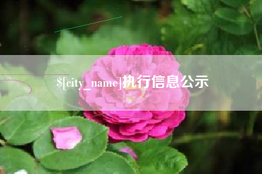 日土执行信息公示