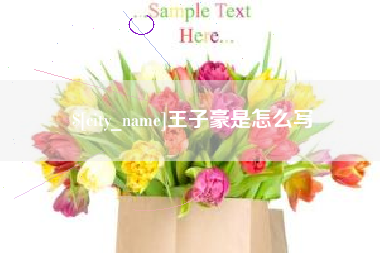 日土王子豪是怎么写