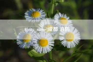 日土成都 消防
