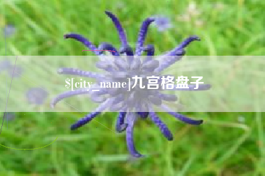日土九宫格盘子