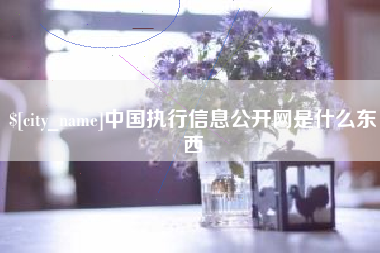 日土中国执行信息公开网是什么东西