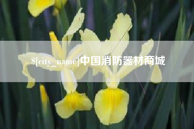 日土中国消防器材商城