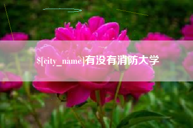 日土有没有消防大学