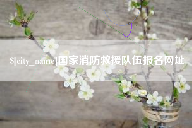 日土国家消防救援队伍报名网址