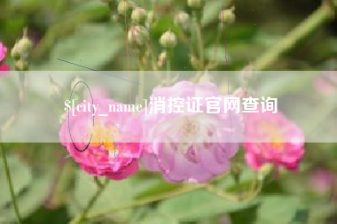 日土消控证官网查询