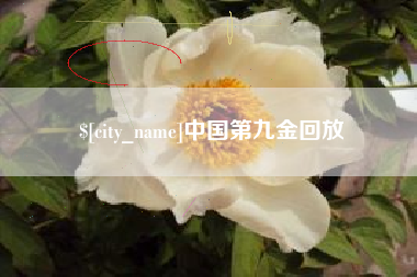 日土中国第九金回放