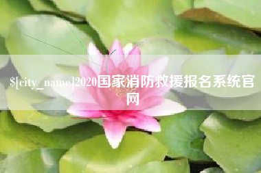 日土2020国家消防救援报名系统官网