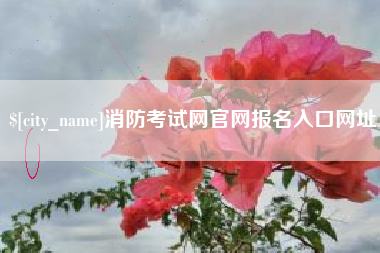日土消防考试网官网报名入口网址