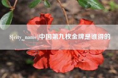 日土中国第九枚金牌是谁得的