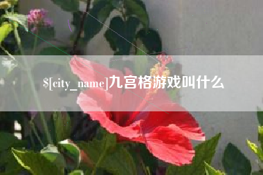 日土九宫格游戏叫什么