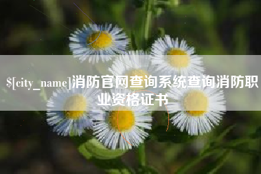 日土消防官网查询系统查询消防职业资格证书