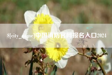 日土中国消防官网报名入口2024
