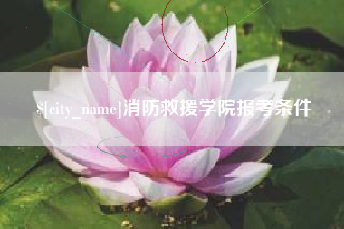 日土消防救援学院报考条件
