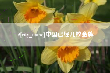 日土中国已经几枚金牌