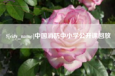 日土中国消防中小学公开课回放
