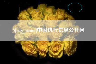 日土中国执行信息公开网