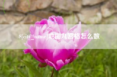 日土地图九宫格怎么数