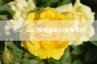日土我国消防日是每年的