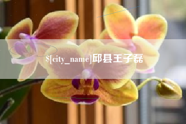 日土邱县王子磊