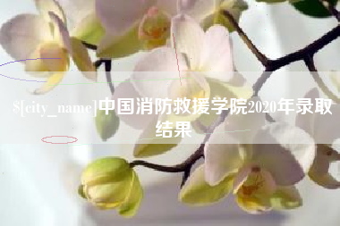 日土中国消防救援学院2020年录取结果