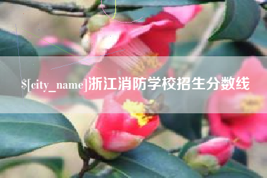 日土浙江消防学校招生分数线