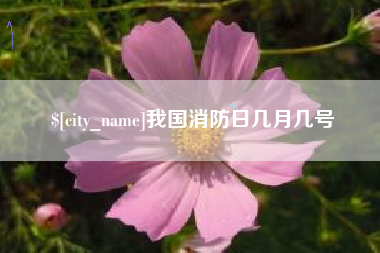 日土我国消防日几月几号