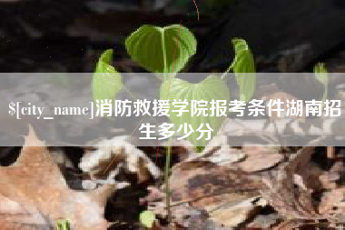 日土消防救援学院报考条件湖南招生多少分