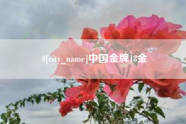 日土中国金牌18金