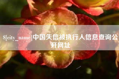 日土中国失信被执行人信息查询公开网址