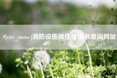 日土消防设施操作员证书查询网址
