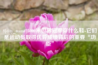 日土5000米世界冠军穿什么鞋-它们是运动员取得优异成绩背后的重要“功臣”