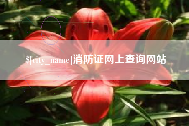 日土消防证网上查询网站